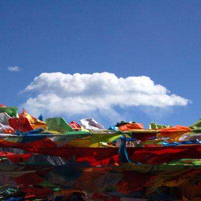 内蒙古鄂托克旗：“先建后补”蹚出“绿富同兴”治沙路